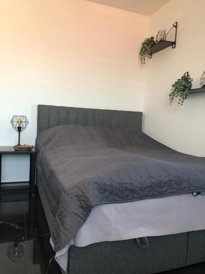 Apartament Apartament Lębork  Zewnętrze zdjęcie